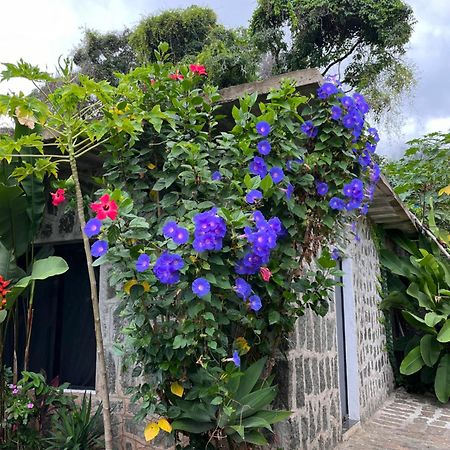 Recanto Das Mangueiras Ilhabela Kültér fotó